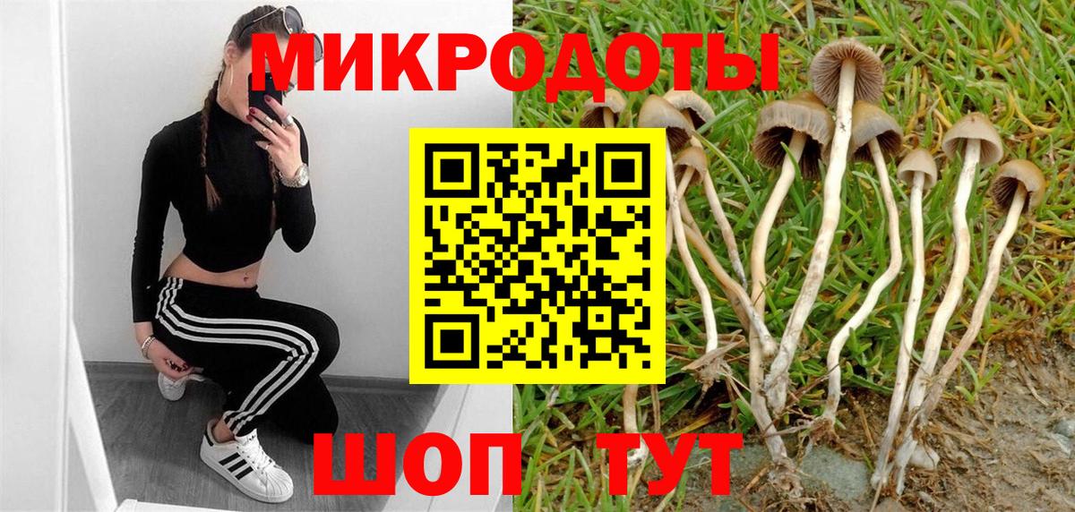 Псилоцибиновые грибы GOLDEN TEACHER Ростов Великий