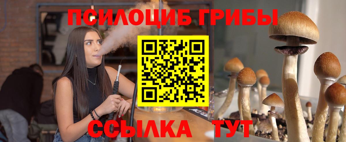 Галлюциногенные грибы Magic Shrooms  Псилоцибиновые грибы прущие грибы  Вход с VPN  Ростов Великий 